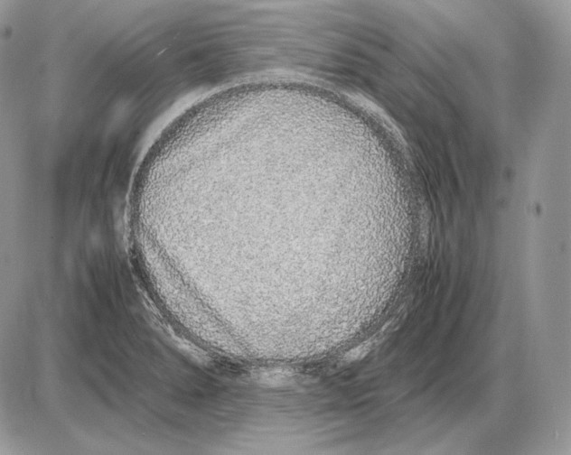 X0000085781278200704131819