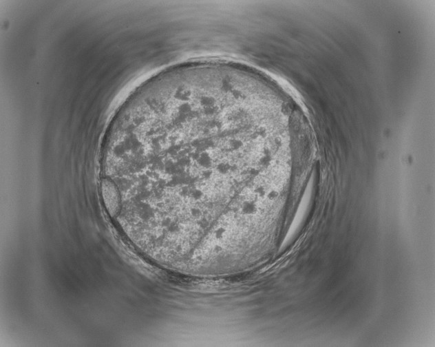 X0000085781279200704131819