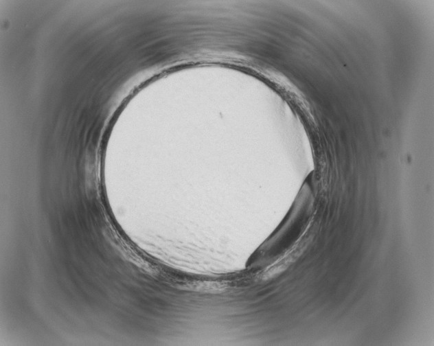 X0000085781280200704131819