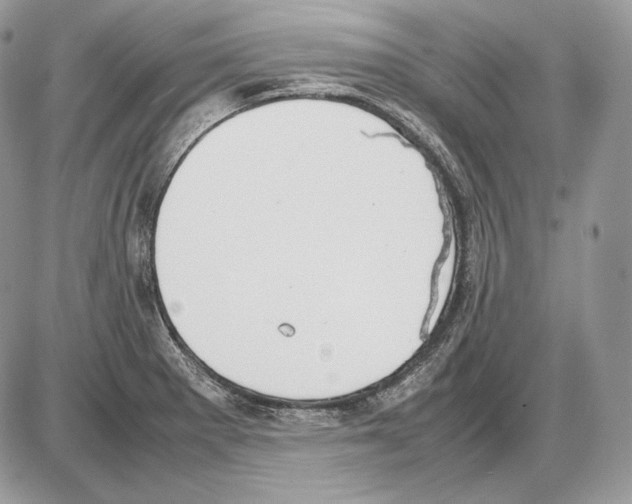 X0000085781281200704131819