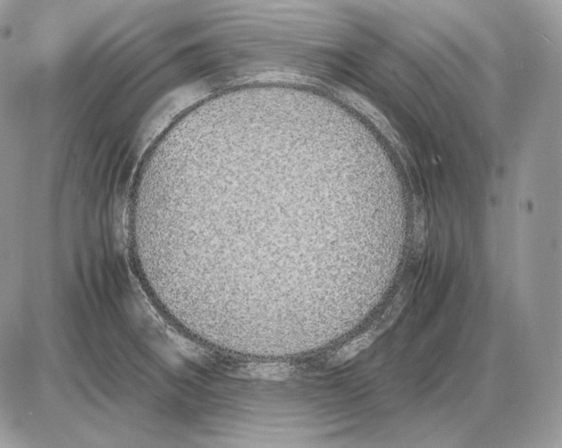 X0000085781282200704131819