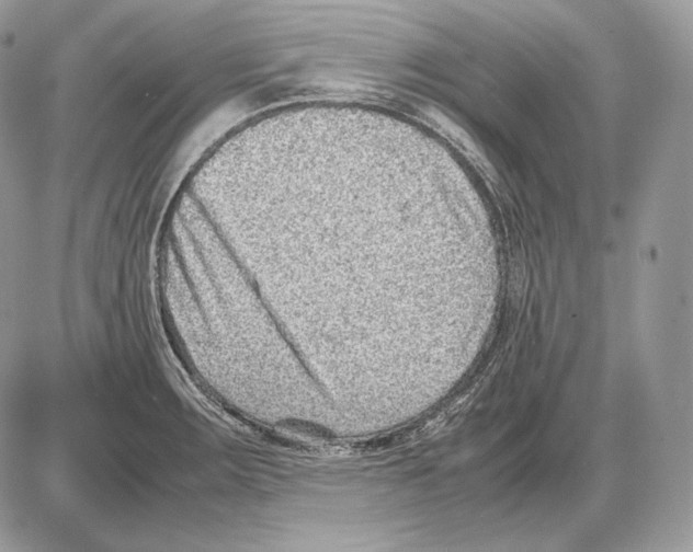 X0000085781283200704131819