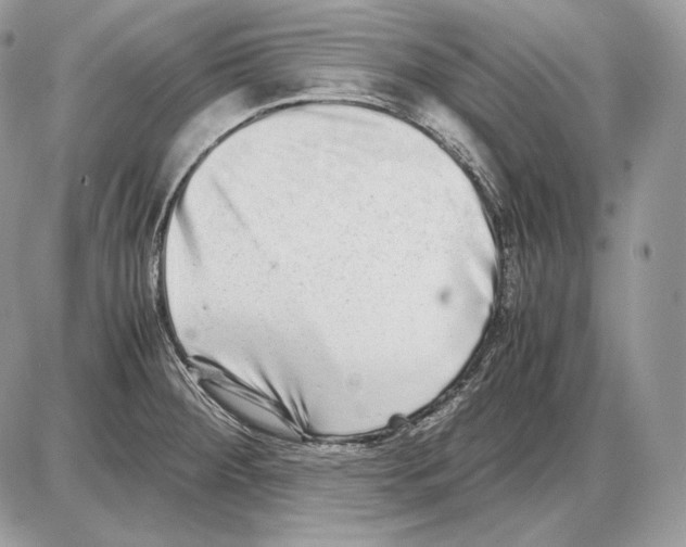 X0000085781284200704131819