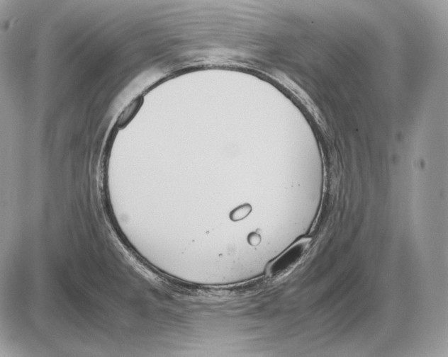 X0000085781285200704131819