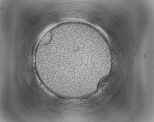 X0000085781287200704131819