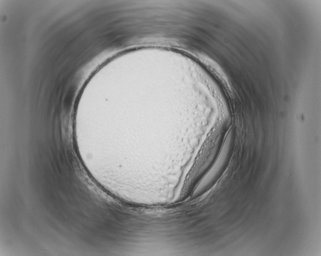 X0000085781288200704131819