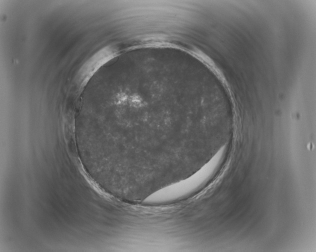 X0000085781289200704131819