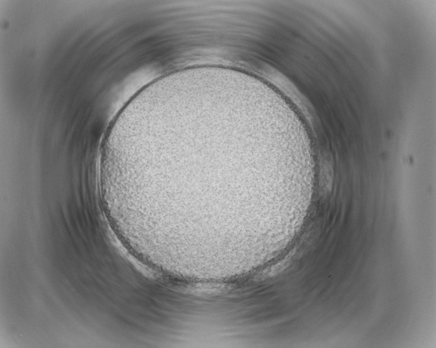 X0000085781290200704131819