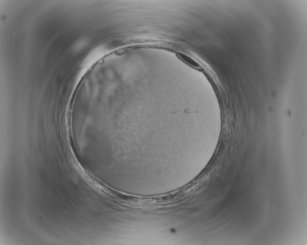 X0000085781291200704131819