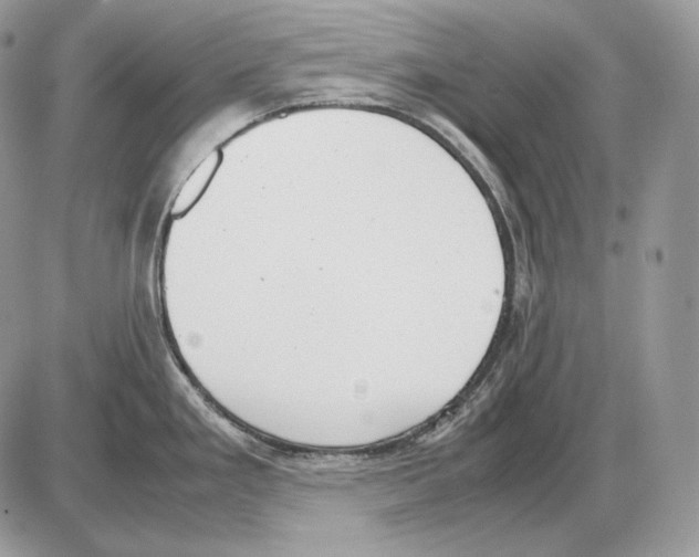 X0000085781293200704131819