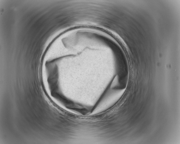 X0000085781295200704131819