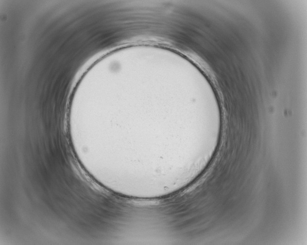 X0000085781296200704131819