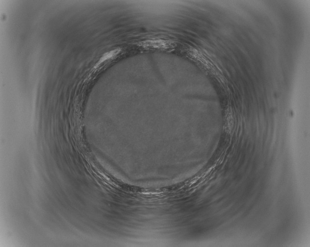 X0000085781297200704131818