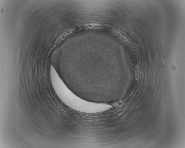 X0000085781298200704131818