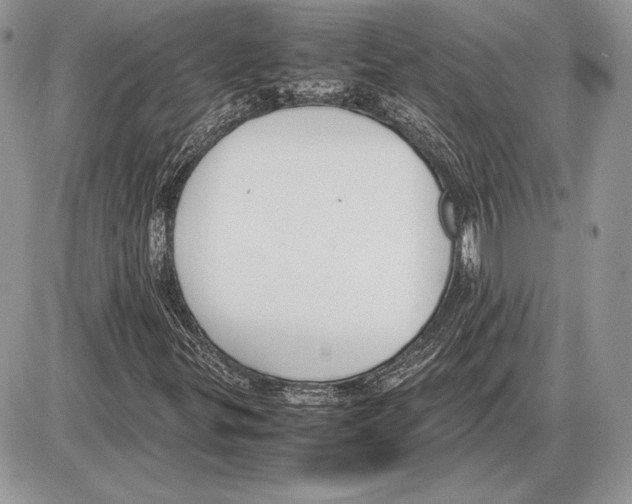 X0000085781299200704131818