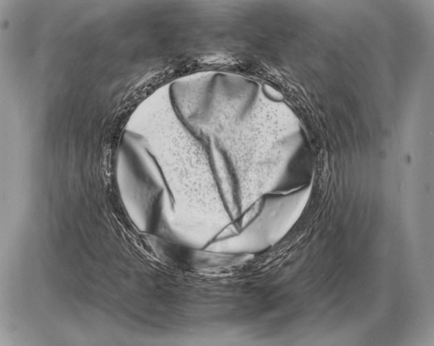 X0000085781301200704131818