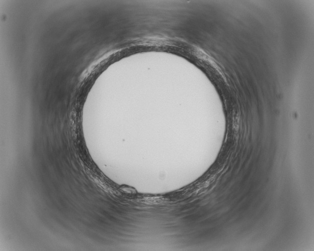 X0000085781304200704131818