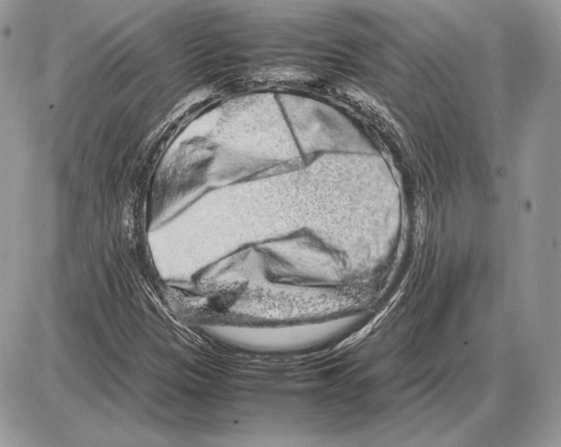 X0000085781305200704131818