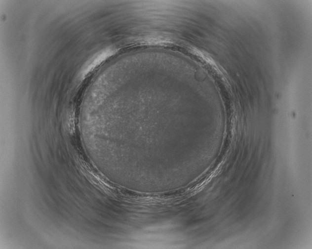 X0000085781306200704131819