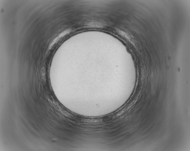 X0000085781307200704131819