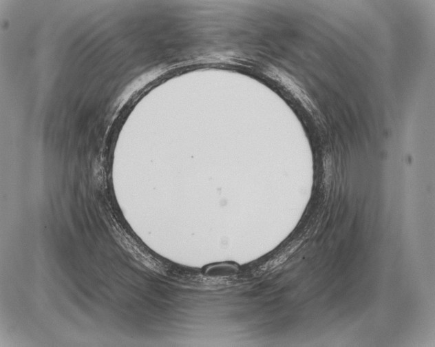 X0000085781308200704131819