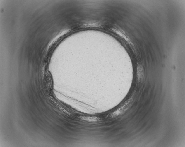 X0000085781309200704131819