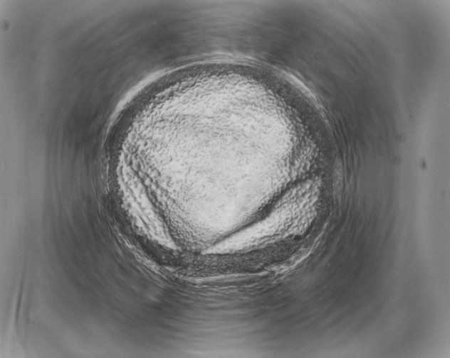 X0000085781310200704131819