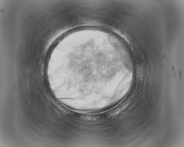 X0000085781311200704131819