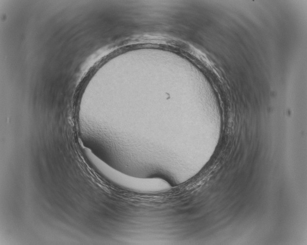 X0000085781312200704131819