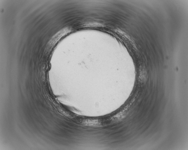 X0000085781313200704131819