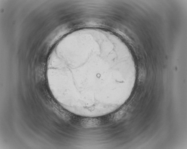 X0000085781314200704131819