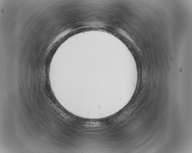 X0000085781315200704131819