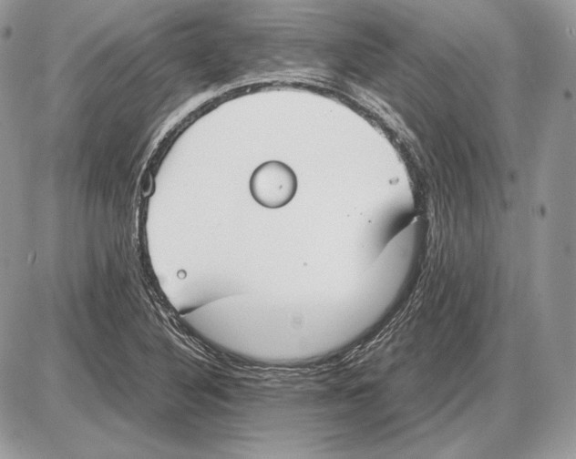 X0000085781316200704131819