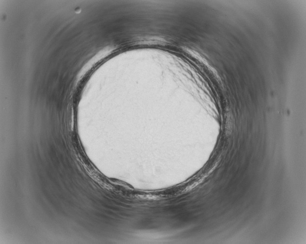 X0000085781317200704131819