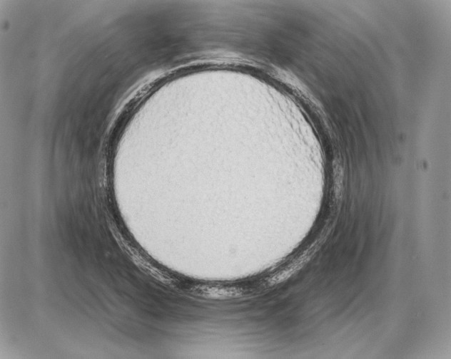 X0000085781318200704131819