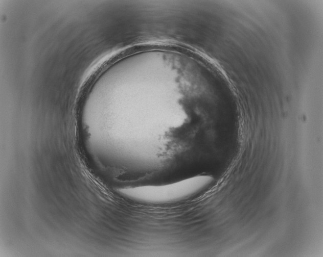 X0000085781319200704131819