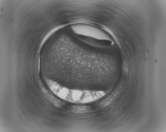 X0000085781323200704131819