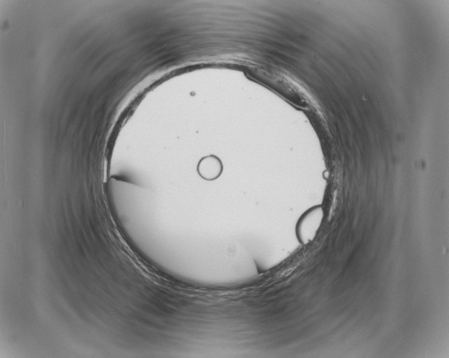 X0000085781324200704131819