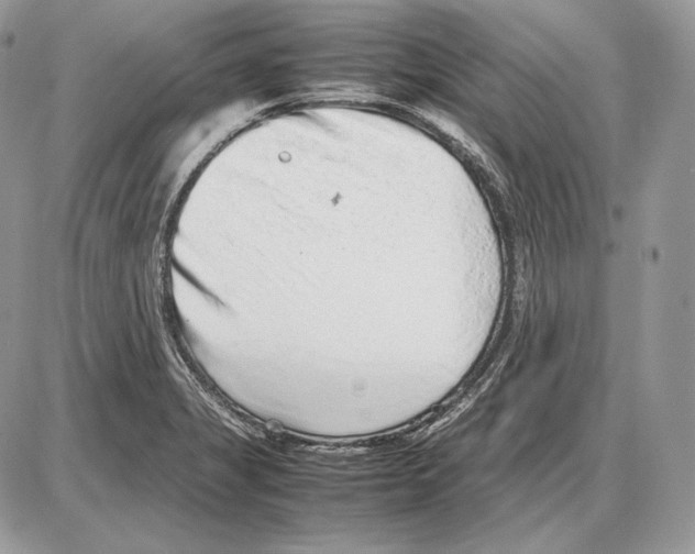 X0000085781325200704131819