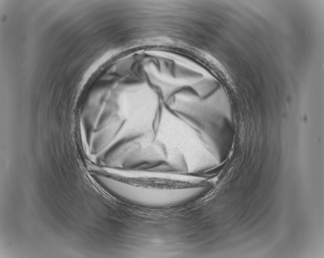 X0000085781326200704131819