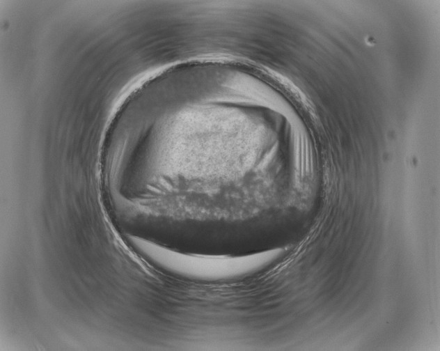 X0000085781327200704131819