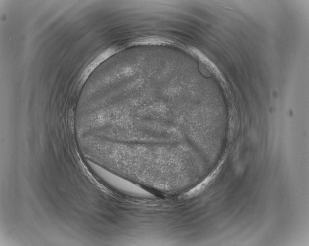 X0000085781329200704131819