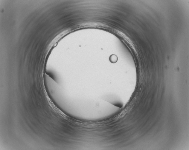 X0000085781330200704131819