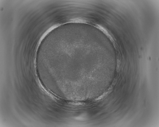 X0000085781331200704131819