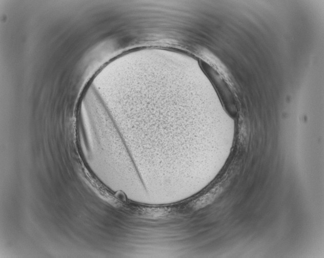 X0000085781332200704131819