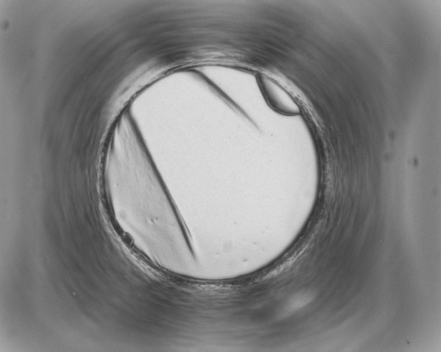 X0000085781333200704131819