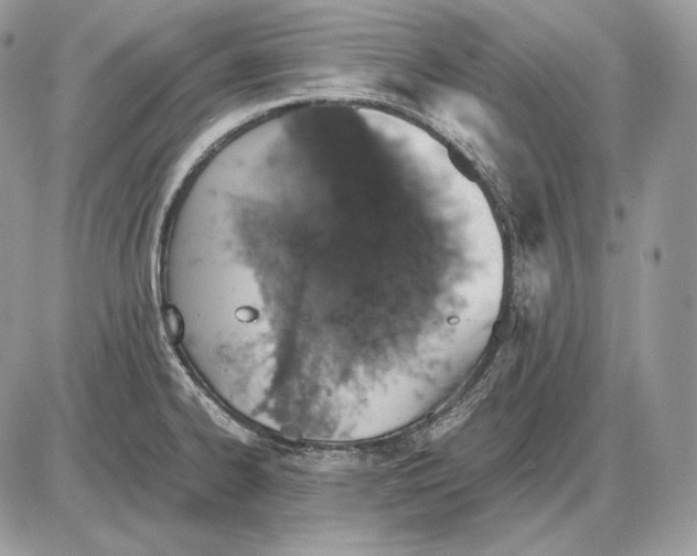 X0000085781334200704131819