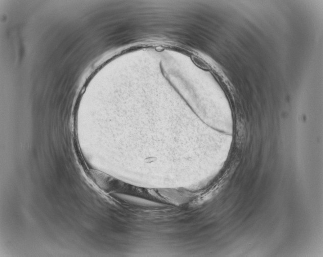 X0000085781335200704131819