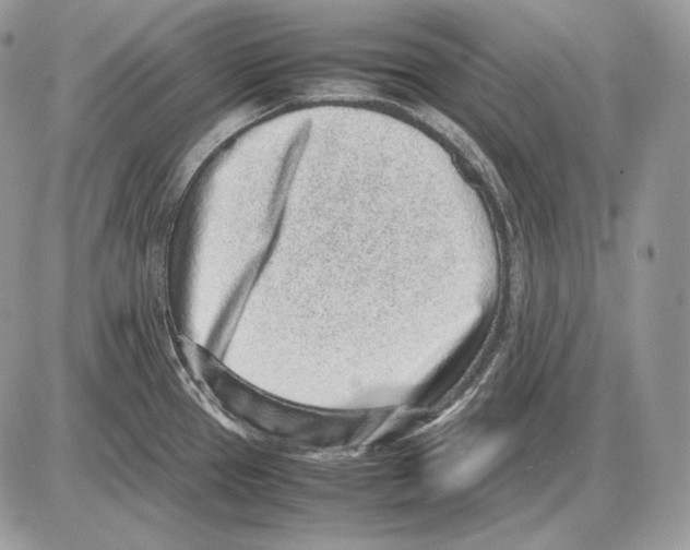 X0000085781337200704131819