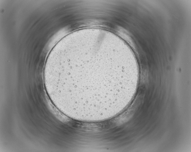 X0000085781338200704131819